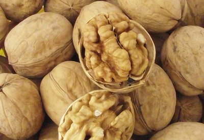 許昌價格合理的薄皮核桃供應信息及廠家介紹